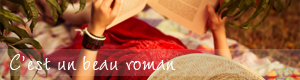C'est un beau roman