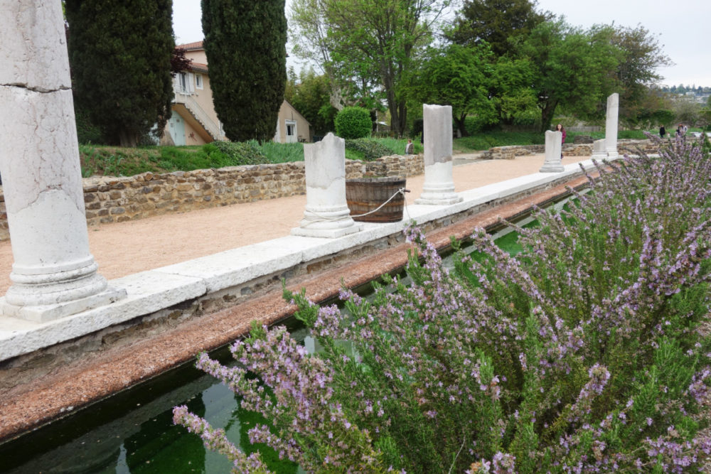 musée gallo romain