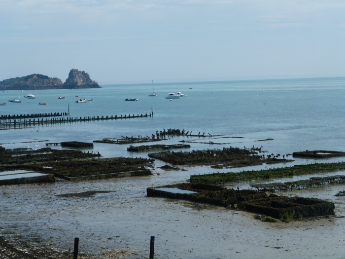 cancale16