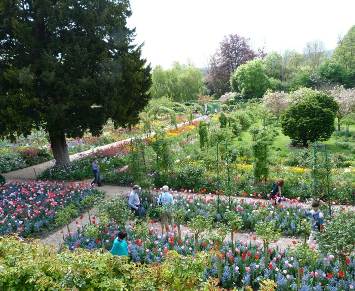 jardin Monet 34