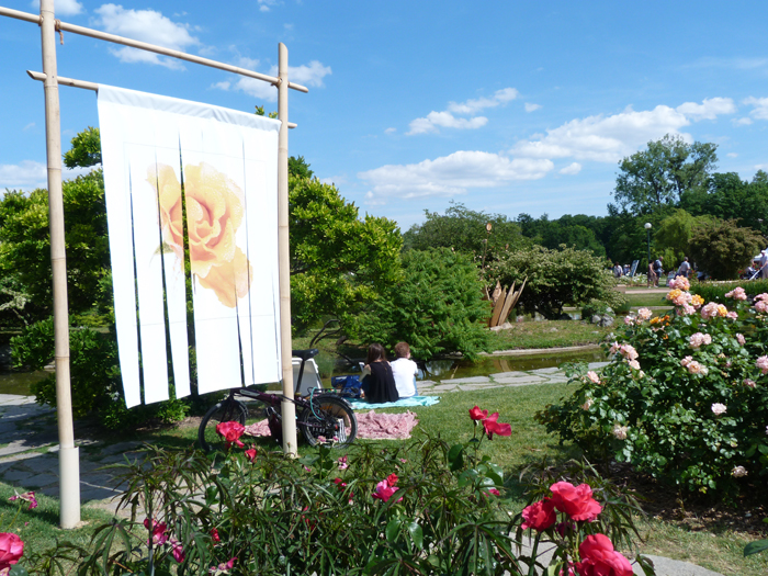 fête des roses tete d'or