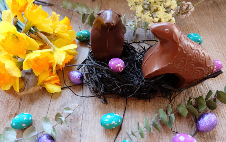 saute monton Cluizel