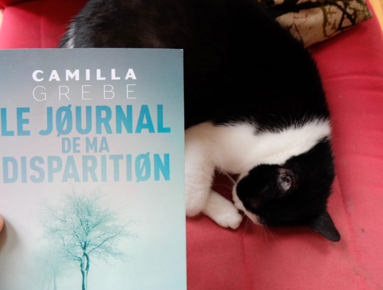 le journal de ma disparition