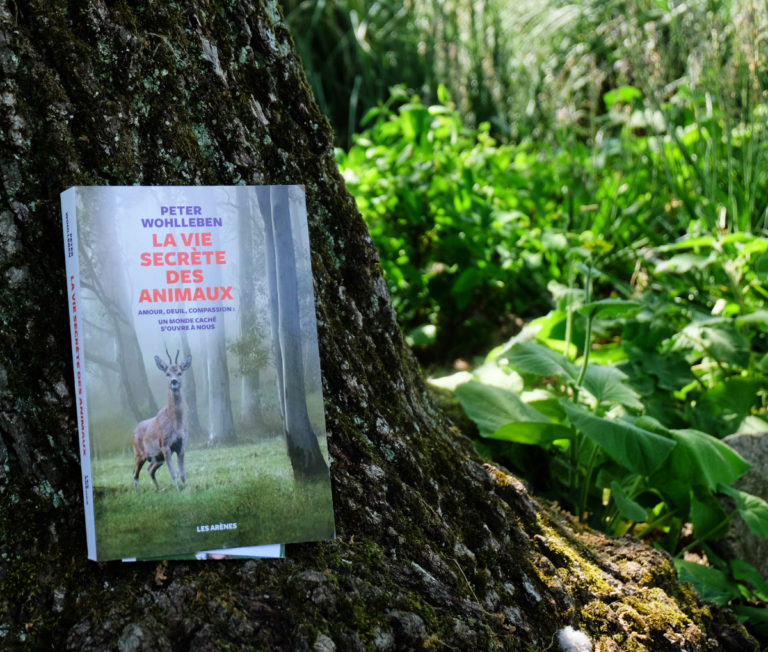 la vie secrète des animaux