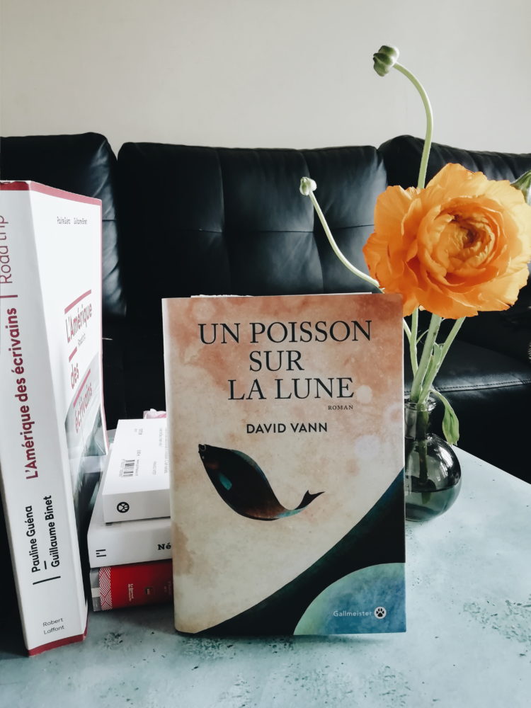 un poisson sur la lune