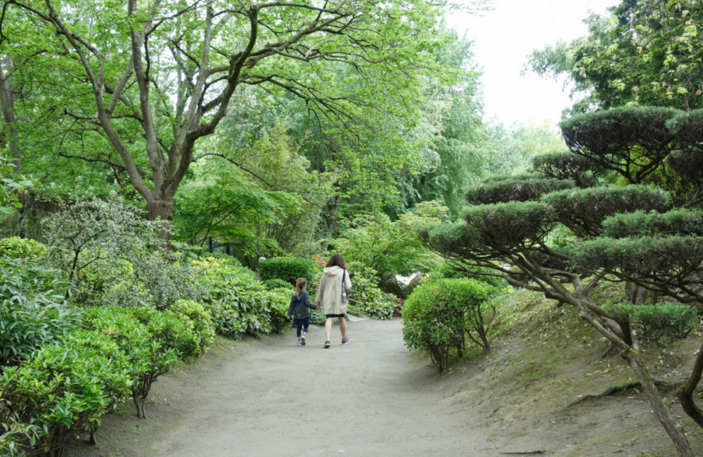 Jardin à la japonaise : La Pause Jardin, tout sur les jardins et