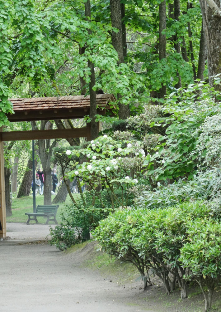 Jardin à la japonaise : La Pause Jardin, tout sur les jardins et