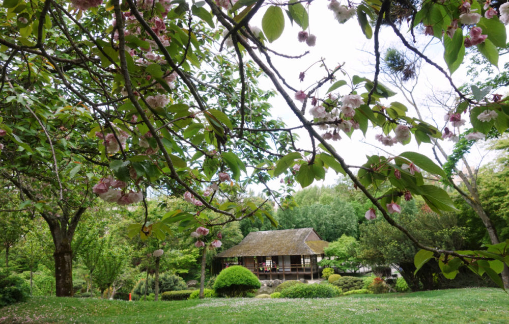 jardin japonais de Toulouse 