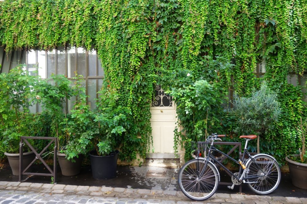 balade parisienne dans le 11ème 