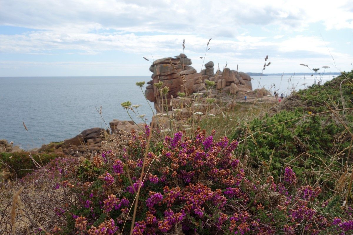 sentier des douaniers de Ploumanac'h