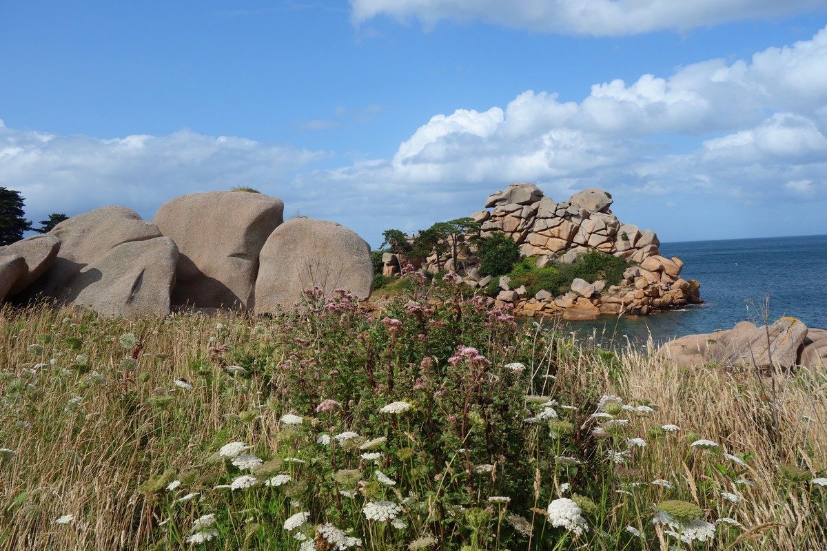 sentier des douaniers de Ploumanac'h