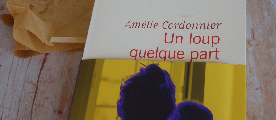 un loup quelque part