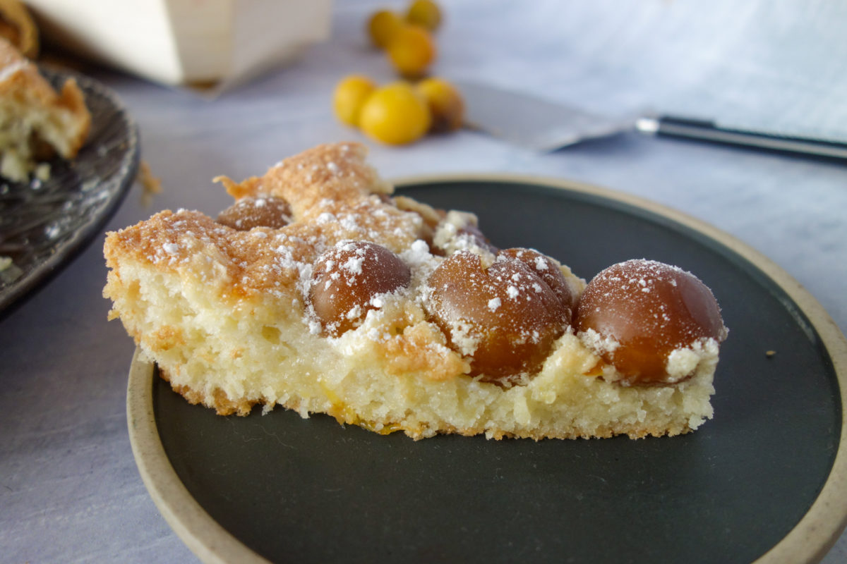 gâteau lorrain aux mirabelles 