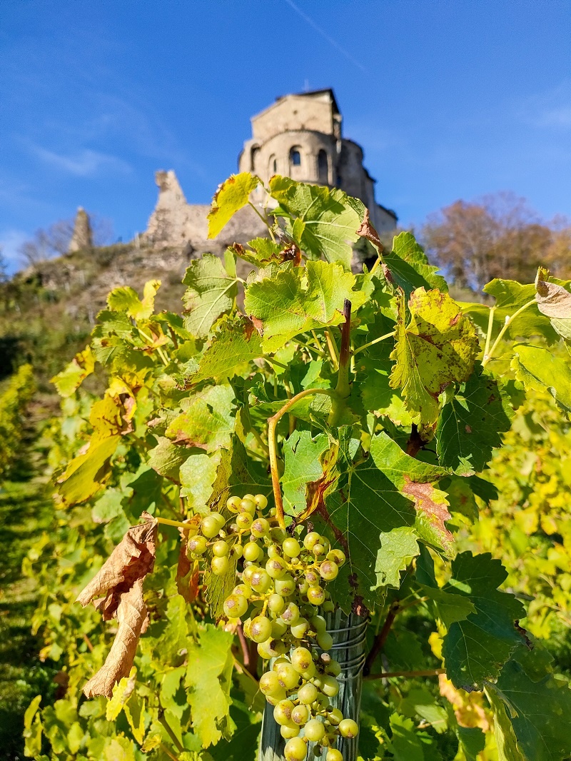 Loire 