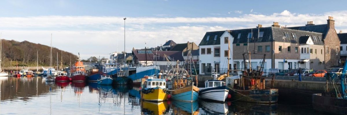 L'île des chasseurs d'oiseaux 