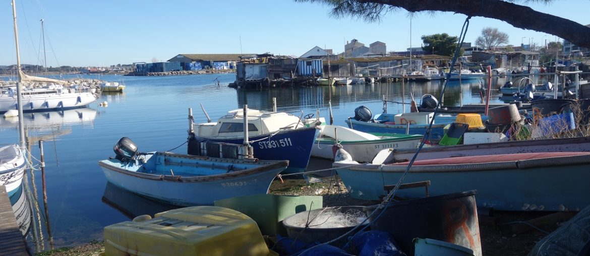 pointe courte