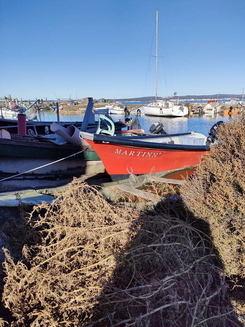 La Pointe Courte 