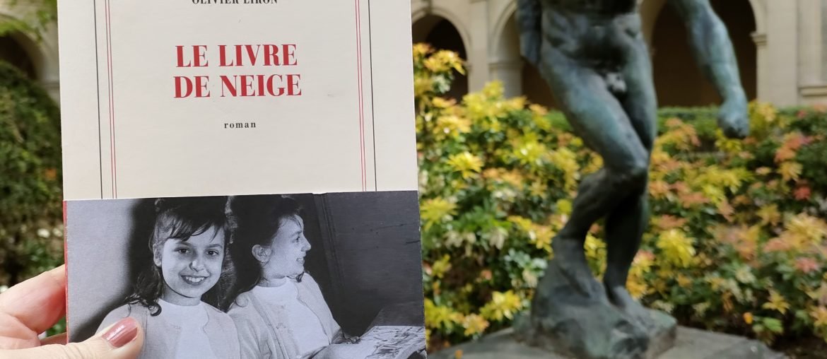 le livre de neige