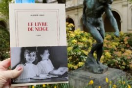 le livre de neige