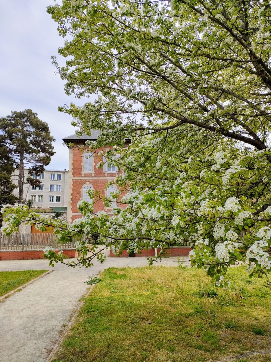 parc Borély 