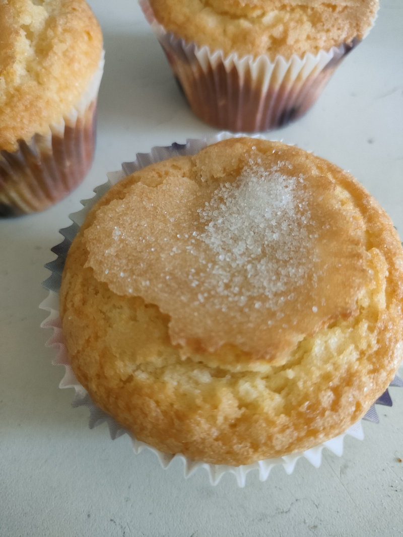 madeleines espagnoles 