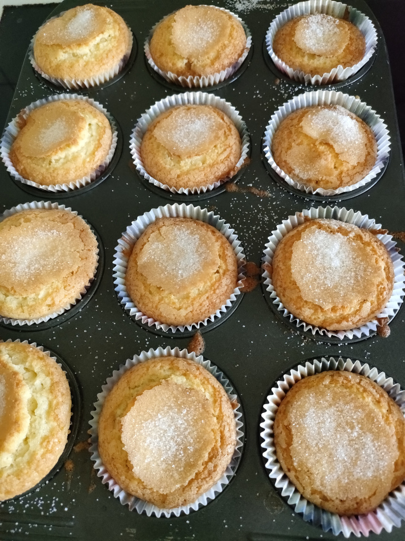 madeleines espagnoles 