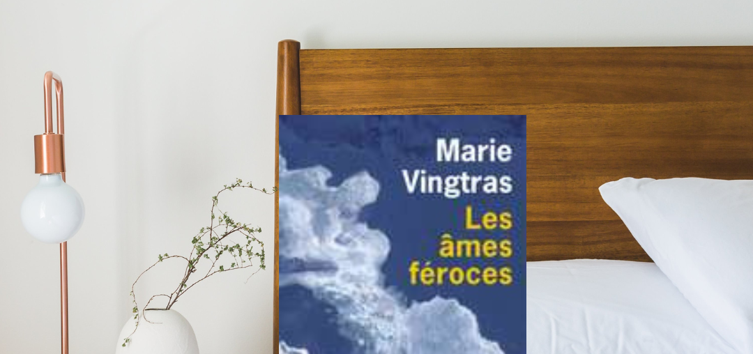 photo d'une chambre avec le roman Les âmes féroces