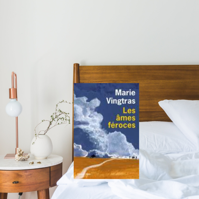 photo d'une chambre avec le roman Les âmes féroces