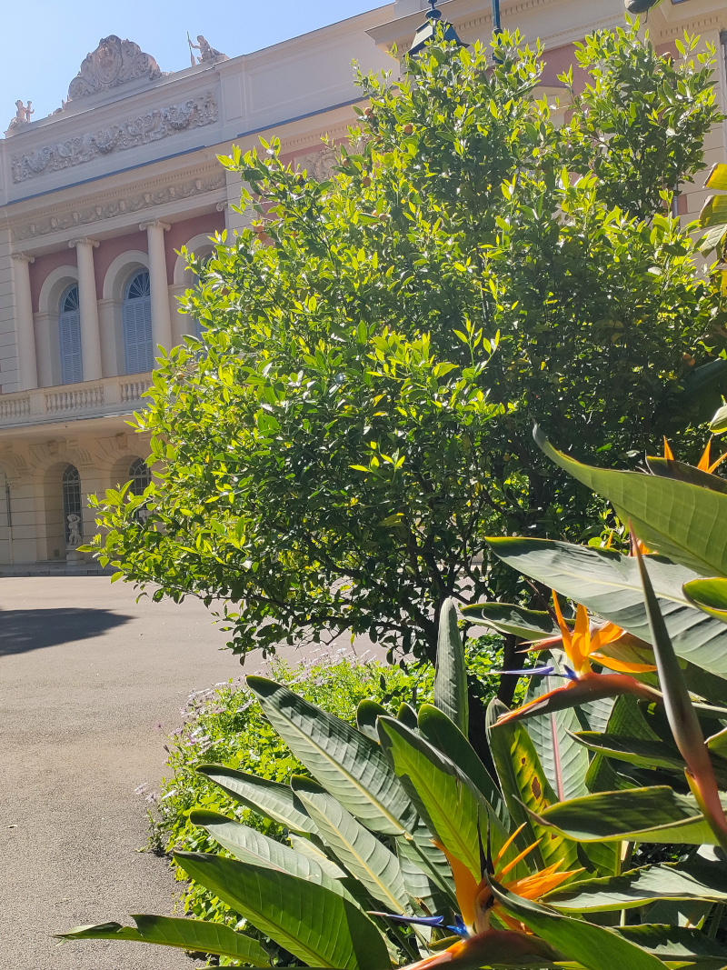 jardin du Palais Carnolès