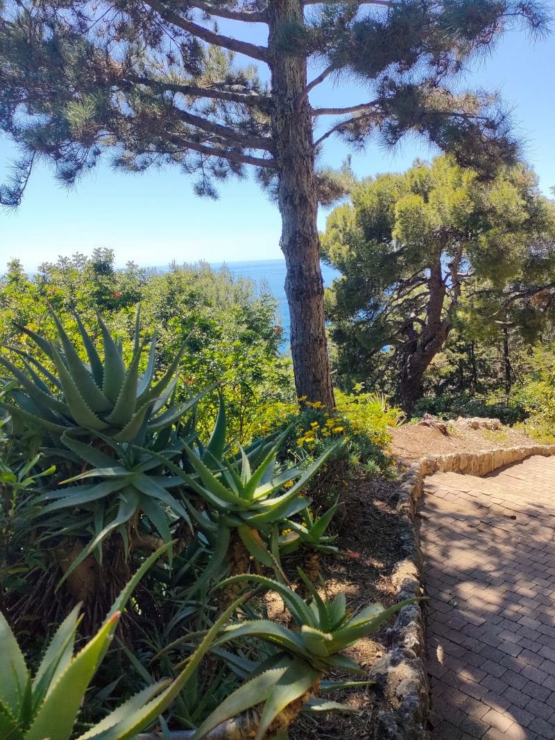 Cap d'Ail