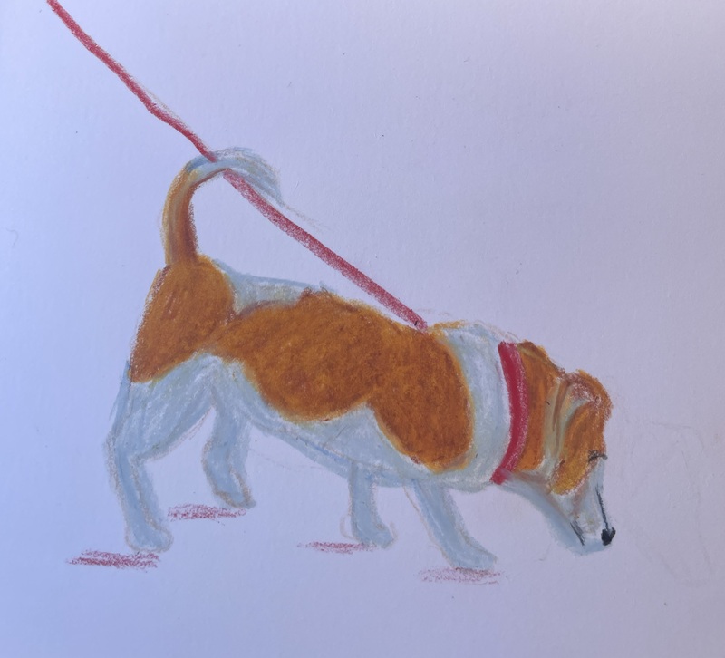 chiens aux pastels à la cire 