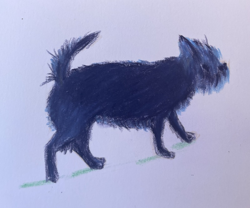 chiens aux pastels à la cire 