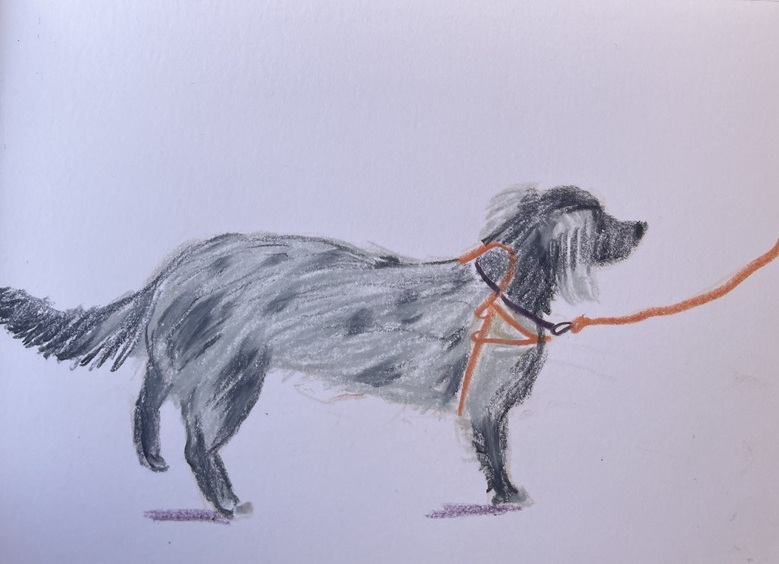 chiens aux pastels à la cire 