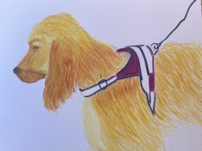 cocker aux pastels à la cire